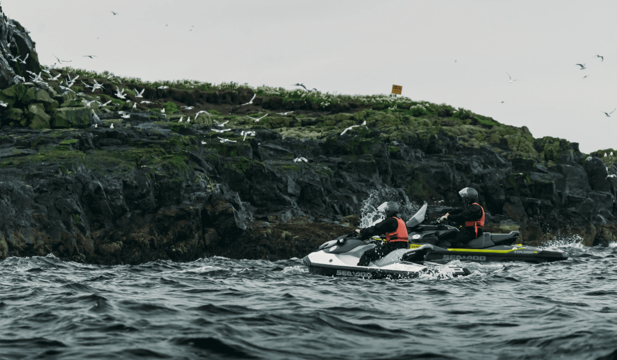 puffin tour in iceland on jet ski